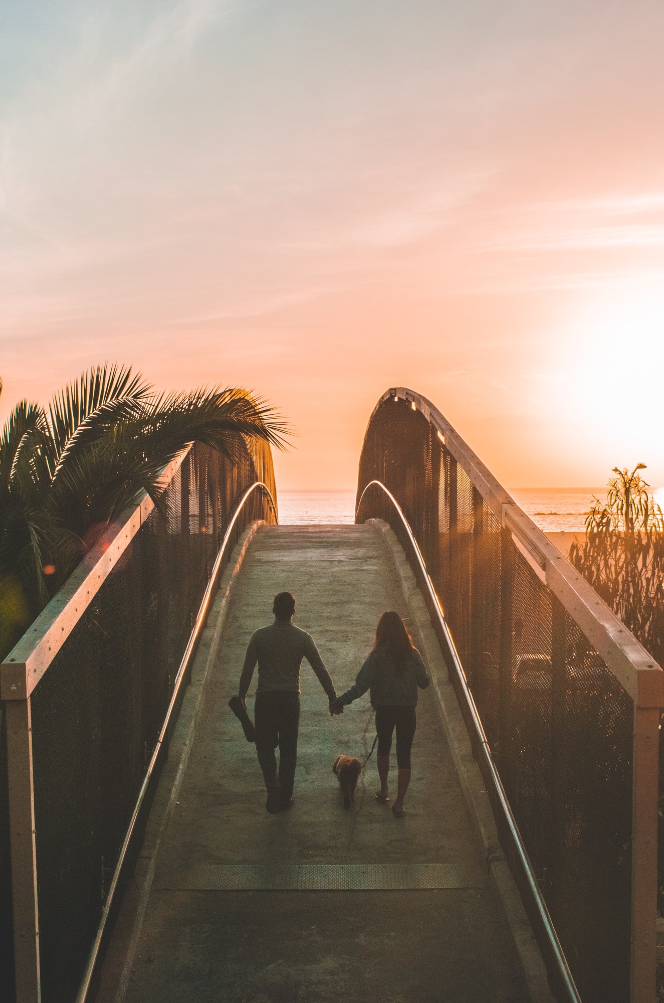 shea-rouda-mRQk1B4OM0k-unsplash